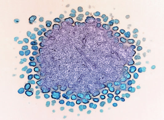 Want To Encourage Natural Fat-Burning And Deep Cellular Clean-Up?